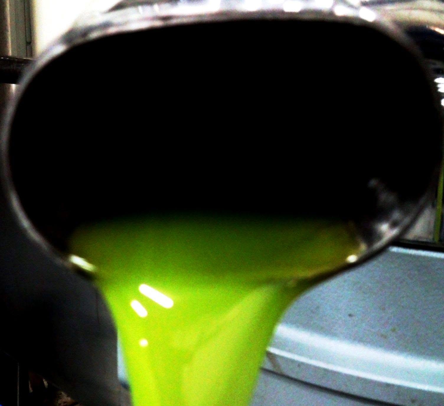 Olio appena estratto