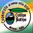 colline-teatine_logo